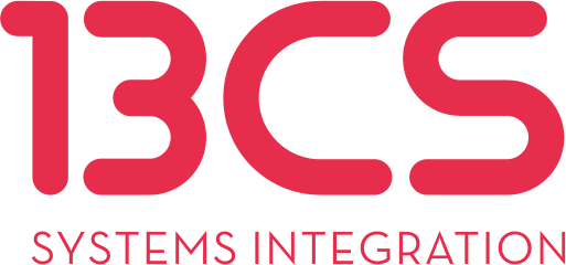 13CS logo trans