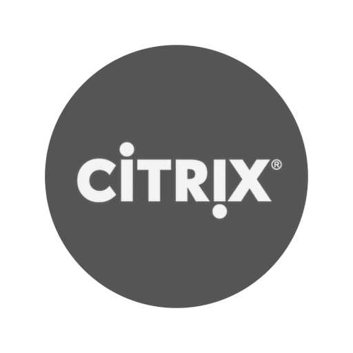 Lansweeper scans citrix icon