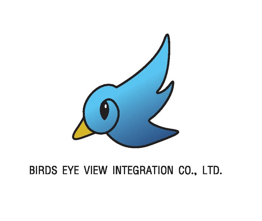 Logo birdeyeview png rev2