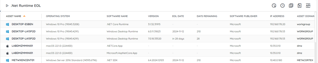 .NET End of life audit report